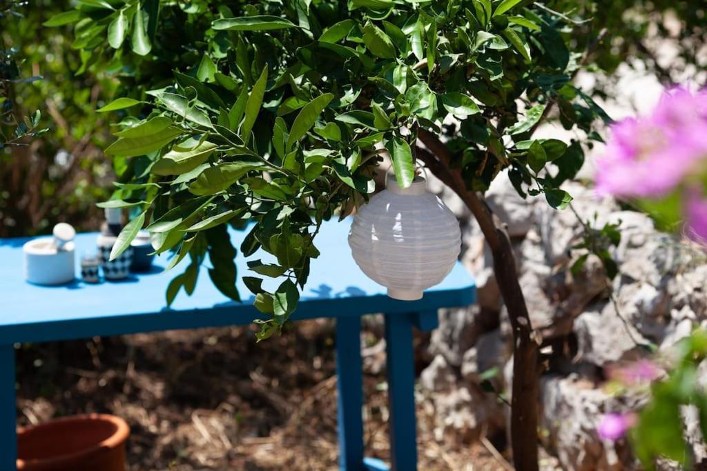 טיסנו Small House At Seafront מראה חיצוני תמונה